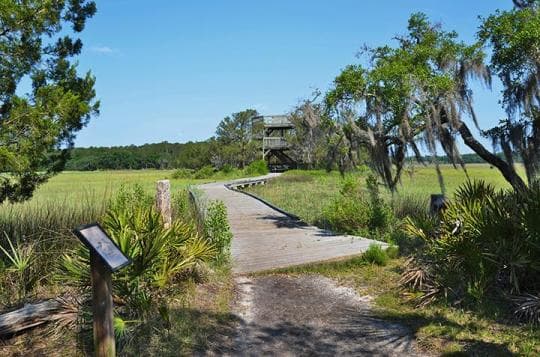 Skidaway Island State Park Campground in Georgia