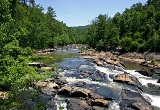 Sweetwater Creek State Park Campground in Georgia
