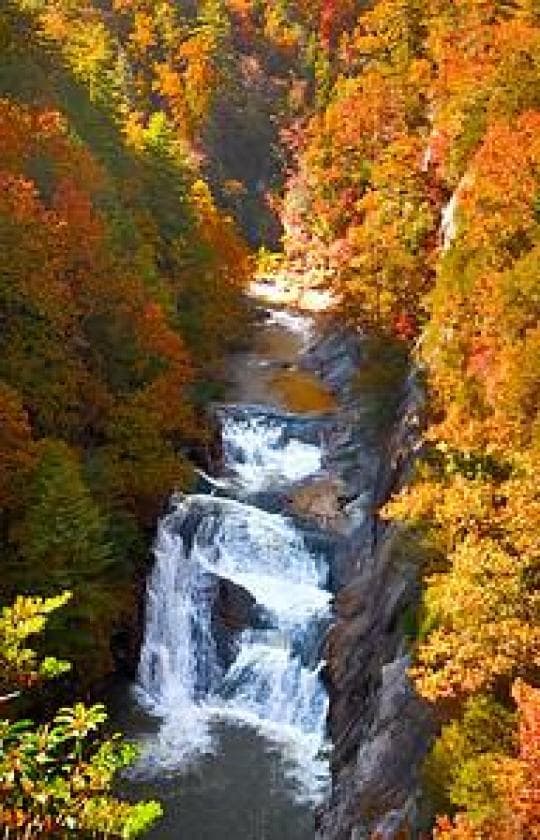 Tallulah Gorge State Park Campground in Georgia