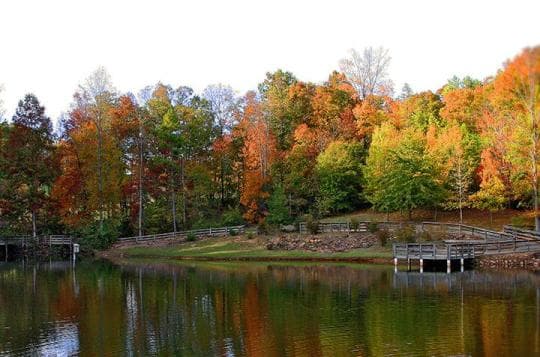 Victoria Bryant State Park Campground in Georgia