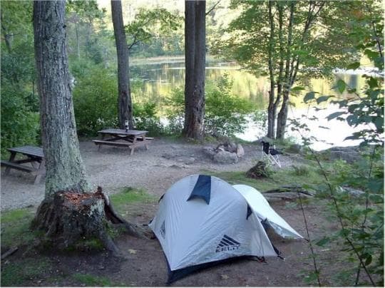 Beartown State Forest Campground in Massachusetts