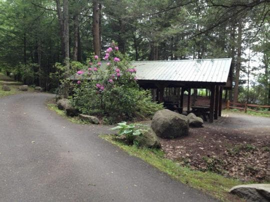 Erving State Forest Campground in Massachusetts
