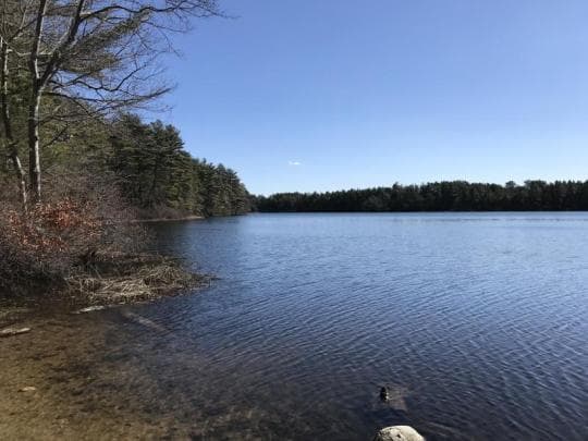 Massasoit State Park Campground in Massachusetts