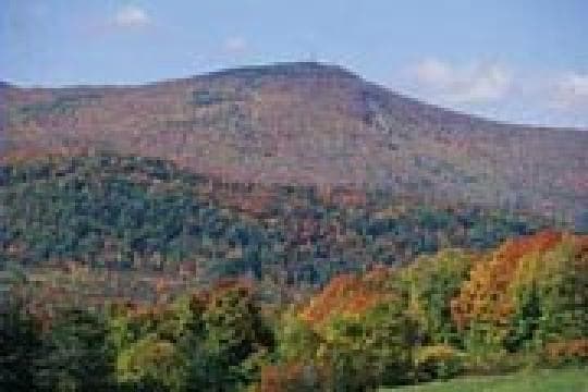 Mount Greylock State Reservation Campground in Massachusetts