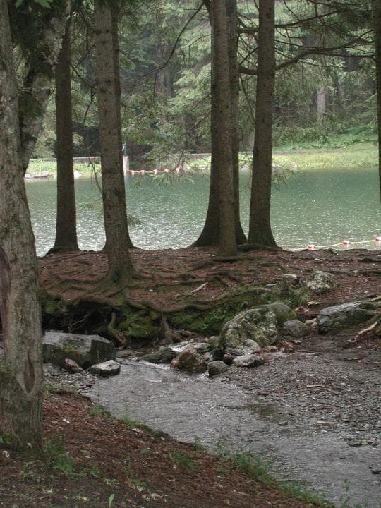 Pittsfield State Forest Campground in Massachusetts