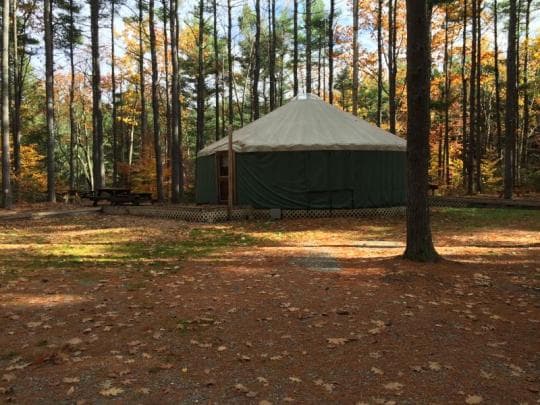 Willard Brook State Forest Campground in Massachusetts