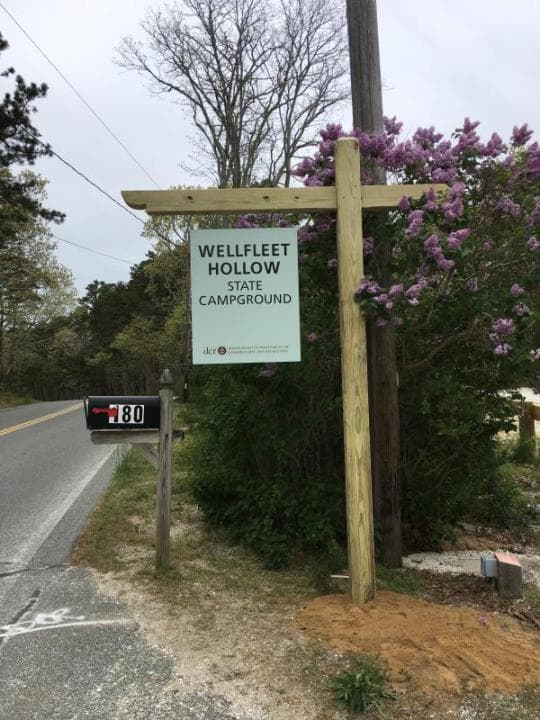 Wellfleet Hollow State Campground in Massachusetts
