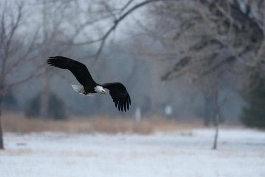 Lake Ogallala Sra Campground in Nebraska