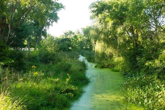 Victoria Springs Sra Campground in Nebraska