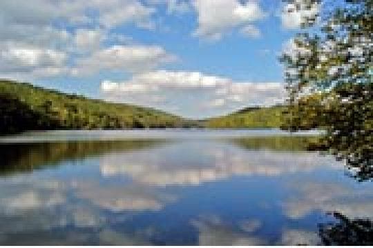 Clarence Fahnestock State Park Campground in New York