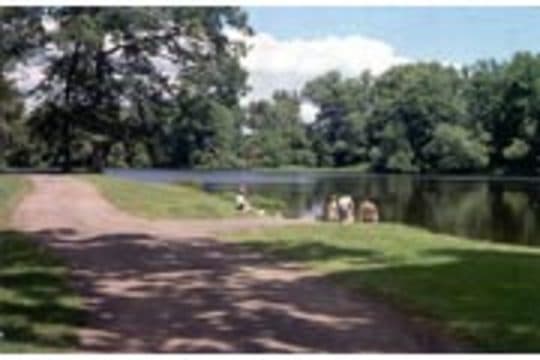 Eel Weir State Park Campground in New York
