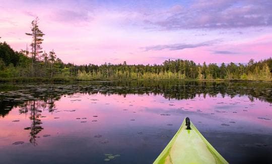 Fish Creek Pond Campground in New York