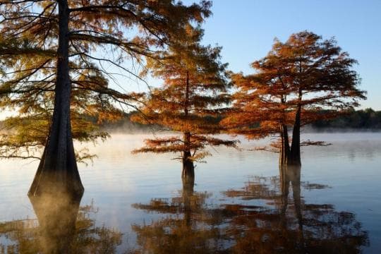 Sequoyah State Park Campground in Oklahoma