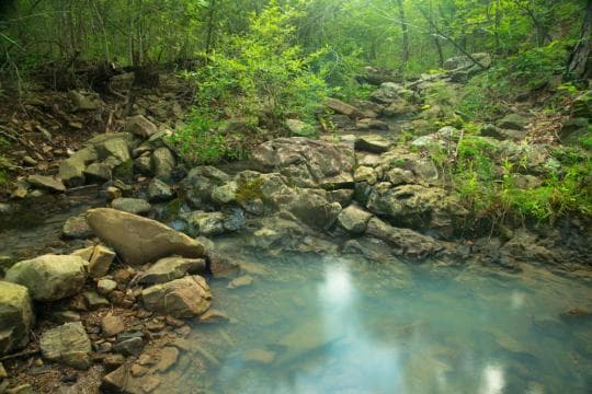 Talimena State Park Campground in Oklahoma