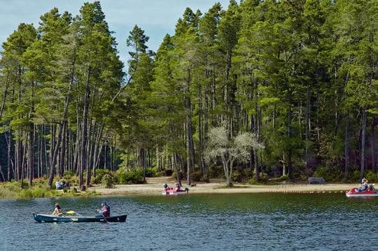 Jessie M. Honeyman Memorial State Park Campground in Oregon