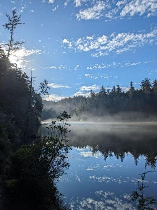 Umpqua Lighthouse State Park Campground in Oregon