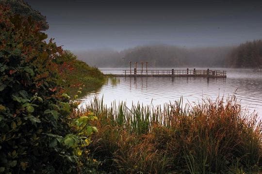 William M. Tugman State Park Campground in Oregon