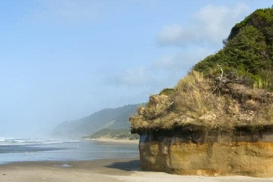 Carl G. Washburne Memorial State Park Campground in Oregon