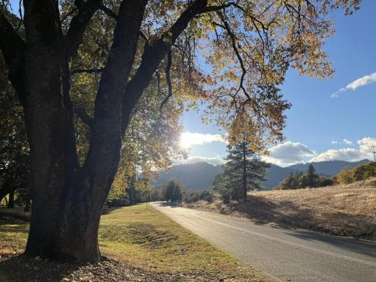 Valley of the Rogue State Park Campground in Oregon