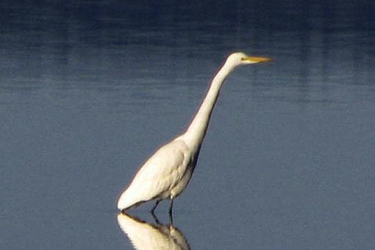 Goose Lake State Recreation Area in Oregon