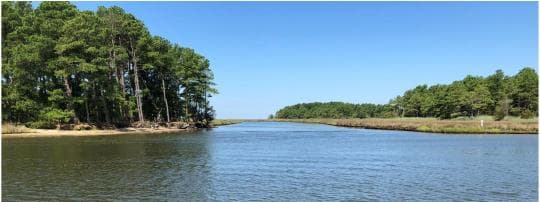 Janes Island State Park Campground in Maryland
