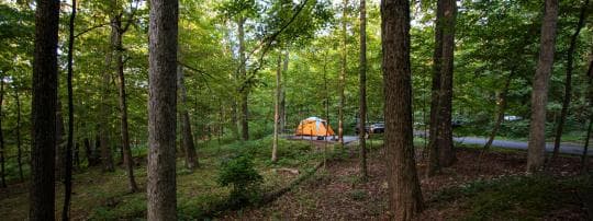 New Germany State Park Campground in Maryland
