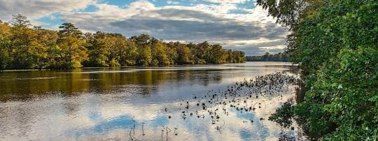 Pocomoke River State Park Campground in Maryland
