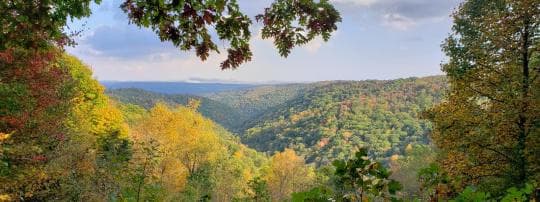 Savage River State Forest Campground in Maryland