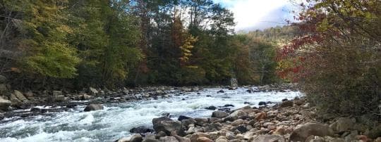 Wolf Den Run State Park Campground in Maryland