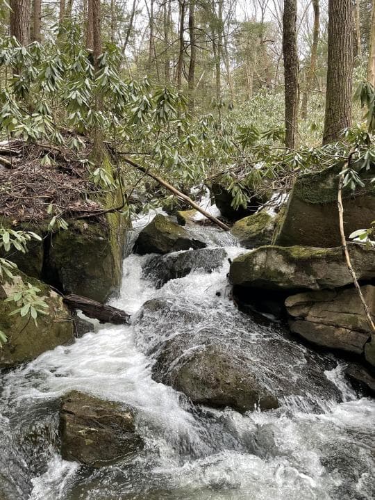Clear Creek State Forest Campground in Pennsylvania