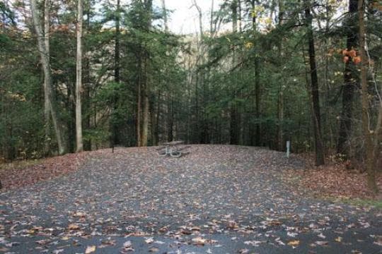 Greenwood Furnace State Park Campground in Pennsylvania
