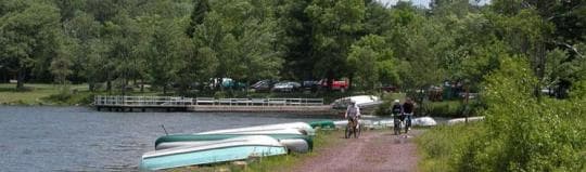 Tobyhanna State Park Campground in Pennsylvania
