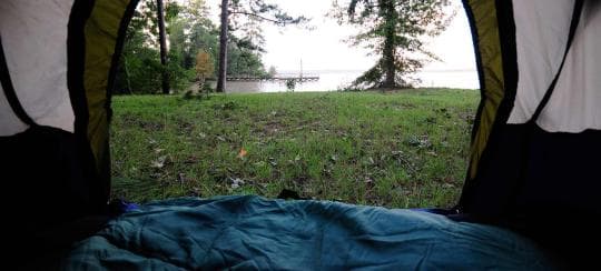 Martin Dies Jr. State Park Campground in Texas