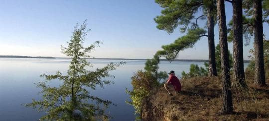 Atlanta State Park Campground in Texas