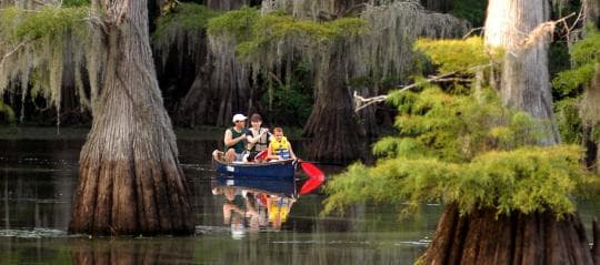 Caddo Lake State Park Campground in Texas
