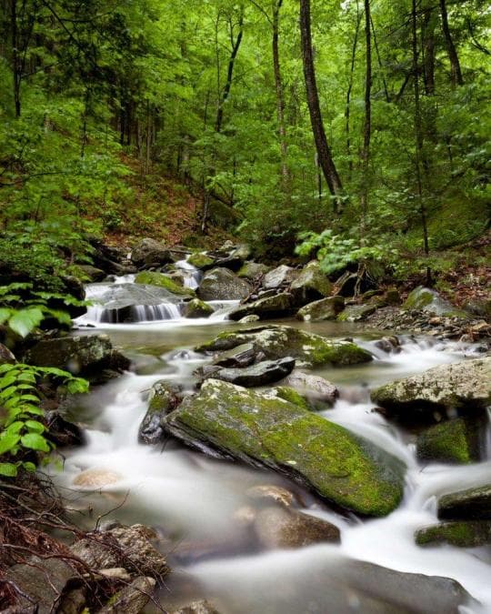 Townshend State Park Campground in Vermont