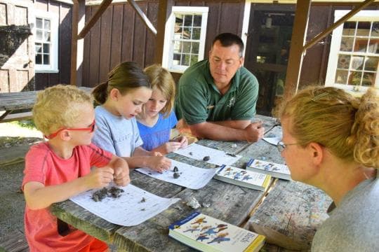 Burton Island State Park Campground in Vermont