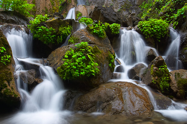 Limekiln State Park wilderness area