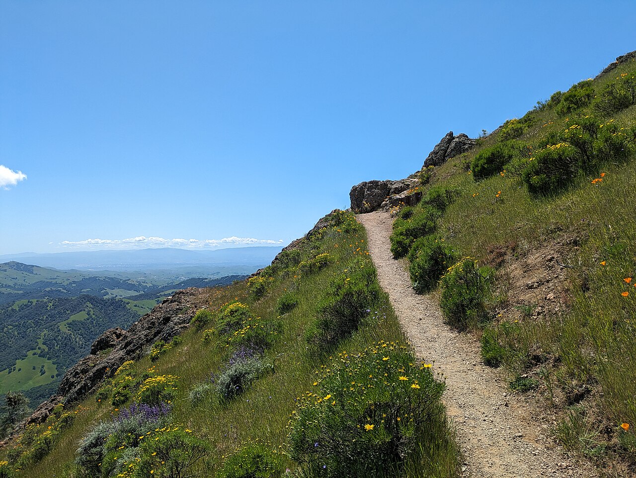 Mount Diablo State Park wilderness area