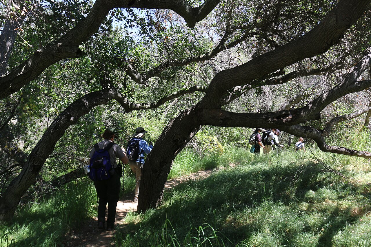 Topanga State Park wilderness area