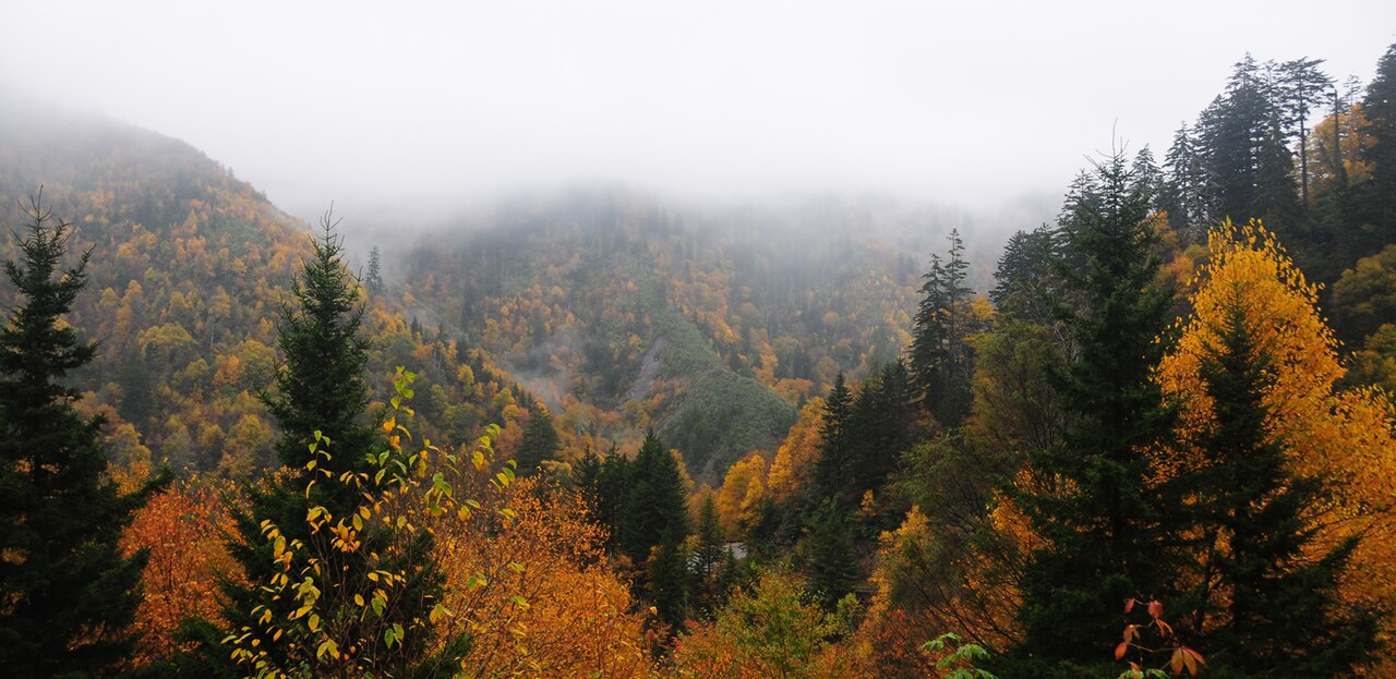 Great Smoky Mountains National Park wilderness area
