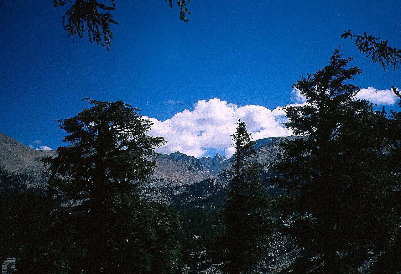 Inyo National Forest wilderness area