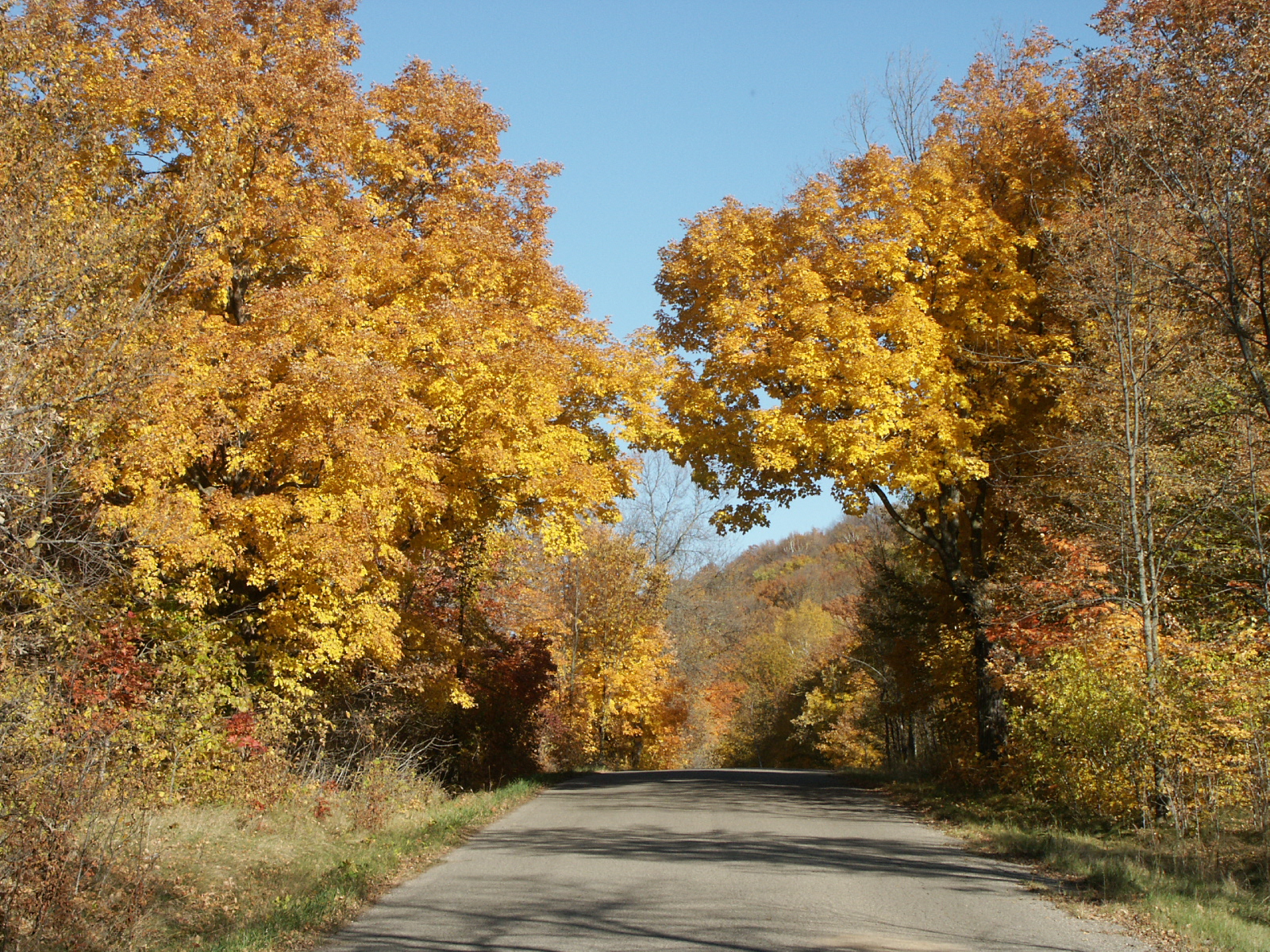 Maplewood State Park (MN) wilderness area